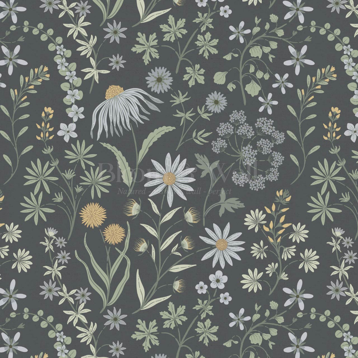 Ada Wildflower Herbarium Slate Blue Sky Wallpaper