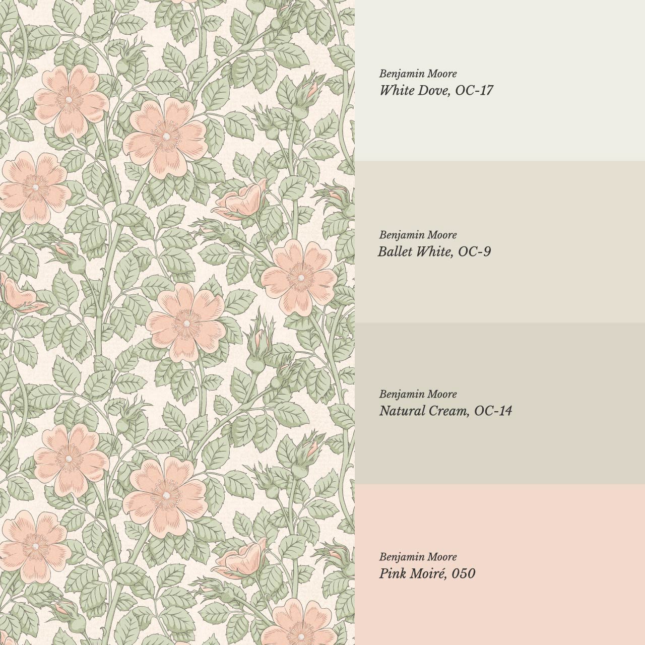 Amara Dog Rose Peach Pink Wallpaper