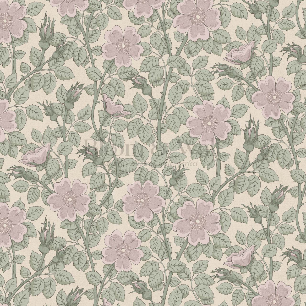 Amara Dog Rose Lavender Wallpaper