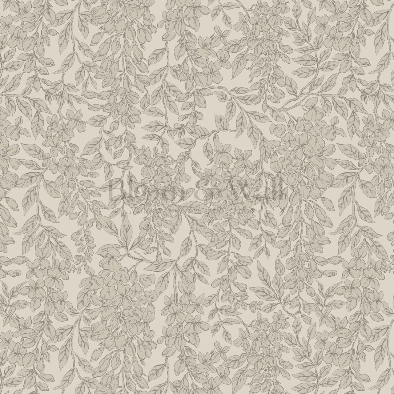Laine Wisteria Vines Feather Gray Wallpaper