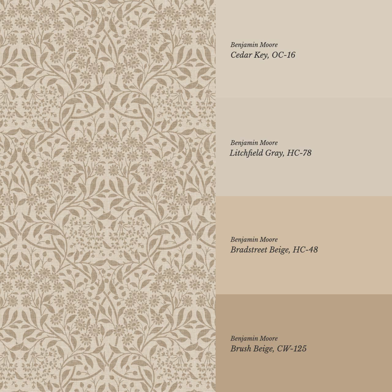 Laverne Graceful Daisy Taupe Brown Wallpaper