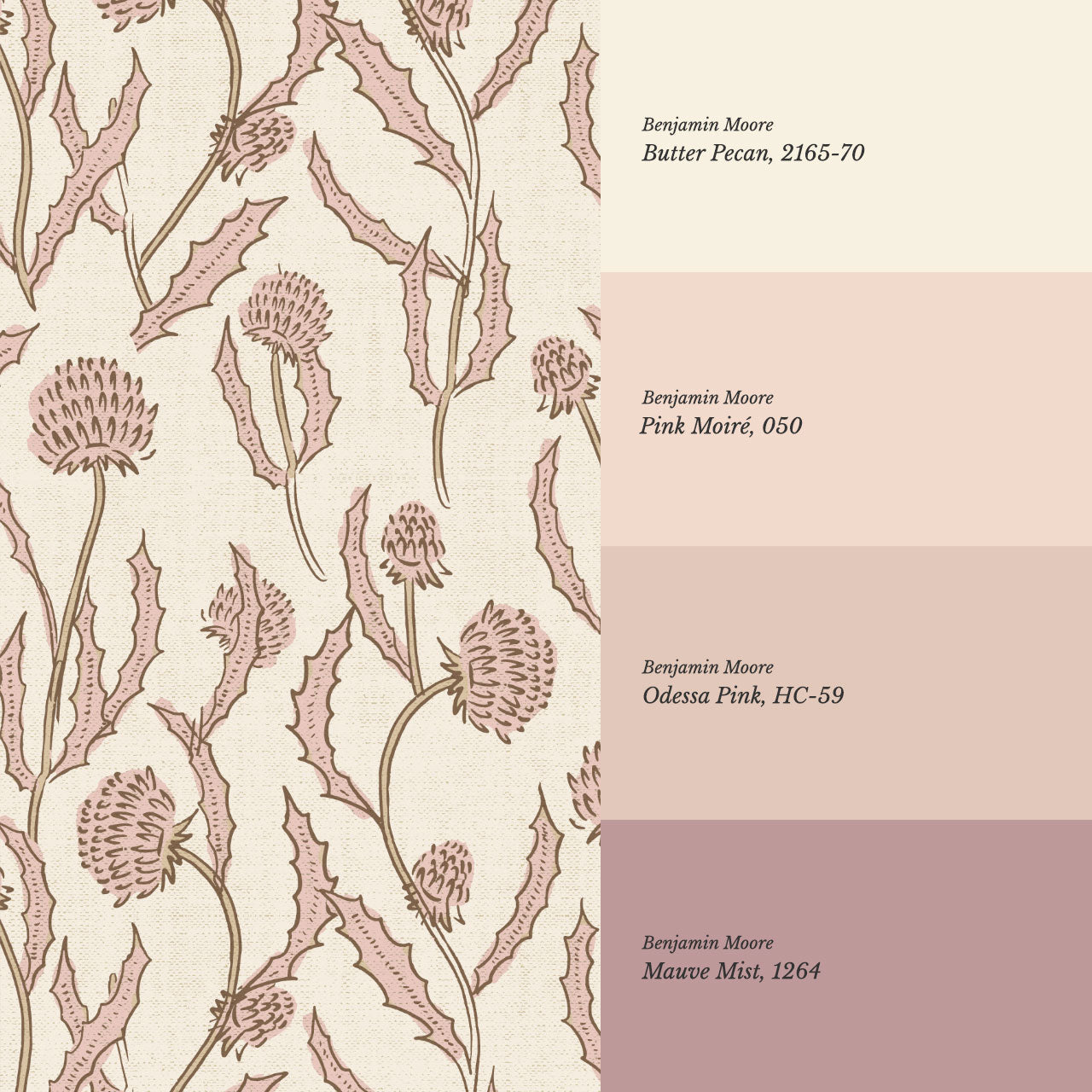 Zara Thistle Blooms Blush Wallpaper