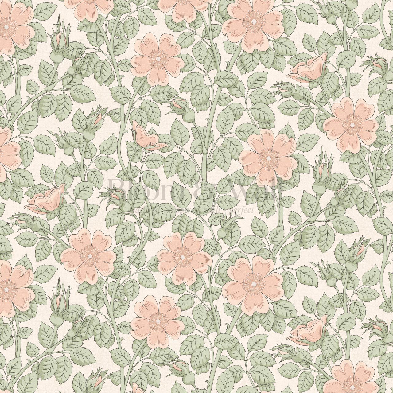 Amara Dog Rose Peach Pink Wallpaper