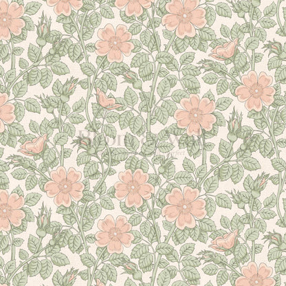 Amara Dog Rose Peach Pink Wallpaper