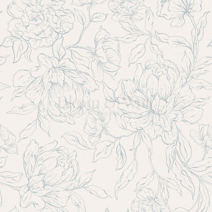 Briana Large Peony Sketch Cream Blue Wallpaper