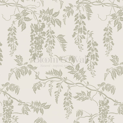 Claire White Dove Sage Wisteria Wallpaper