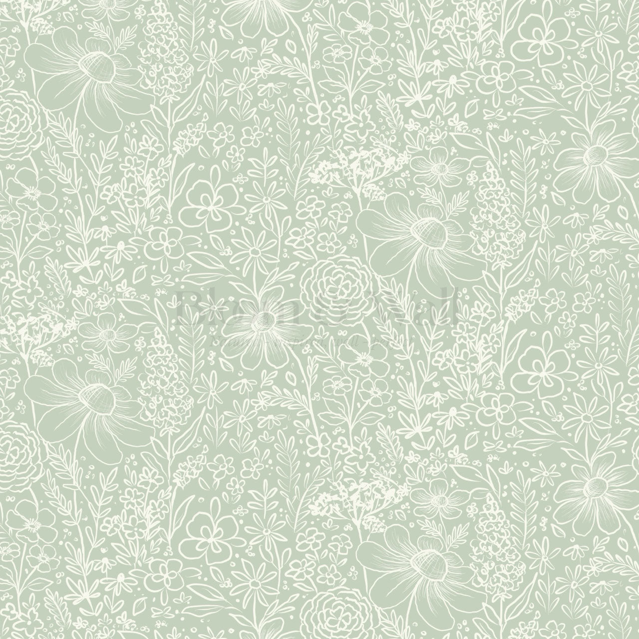 Daisy Meadow Green Wallpaper