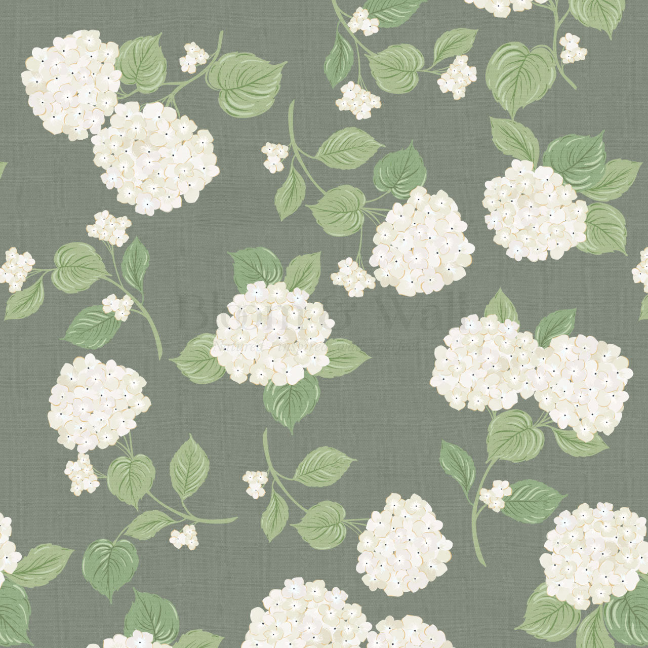 Gracelyn Hydrangea Blooms Green Wallpaper
