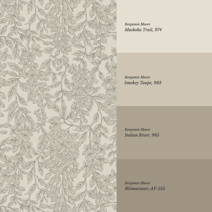 Laine Wisteria Vines Feather Gray Wallpaper
