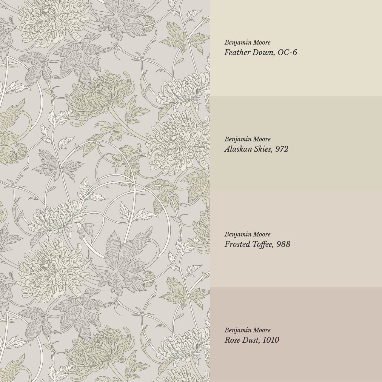 Maile Spider Chrysanthemum Fawn Wallpaper