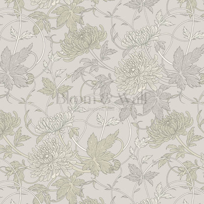 Maile Spider Chrysanthemum Fawn Wallpaper