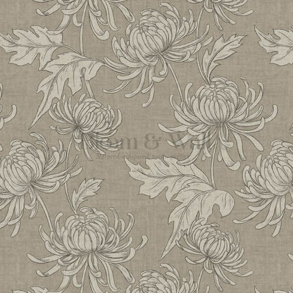 Qiana Large Chrysanthemums Olive Stone Wallpaper