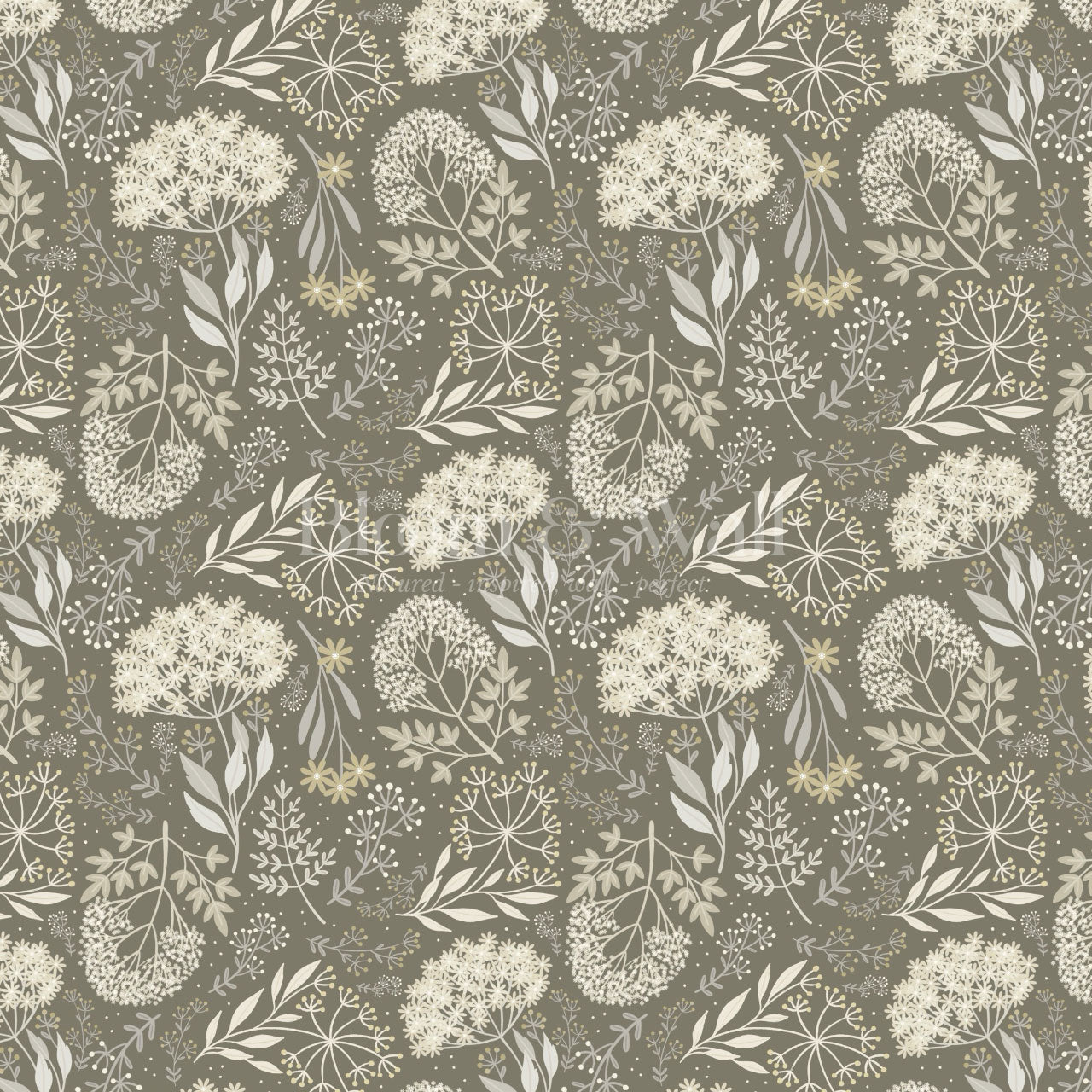 Queen Anne's Lace Botanicals Olive Wallpaper