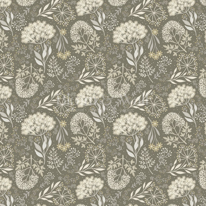Queen Anne's Lace Botanicals Olive Wallpaper