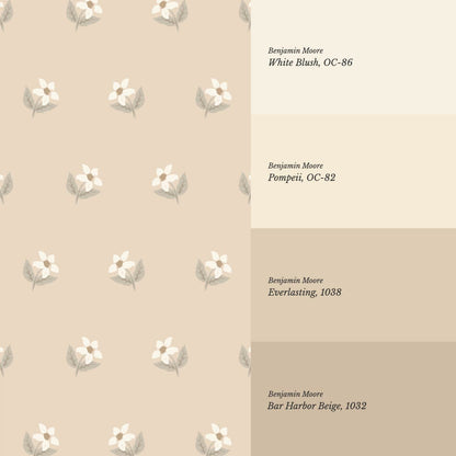 Rima Simple Anemone Tan Cream Wallpaper