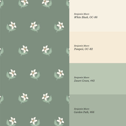 Rima Simple Anemone Green Cream Wallpaper