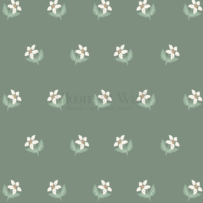 Rima Simple Anemone Green Cream Wallpaper