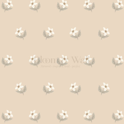 Rima Simple Anemone Tan Cream Wallpaper