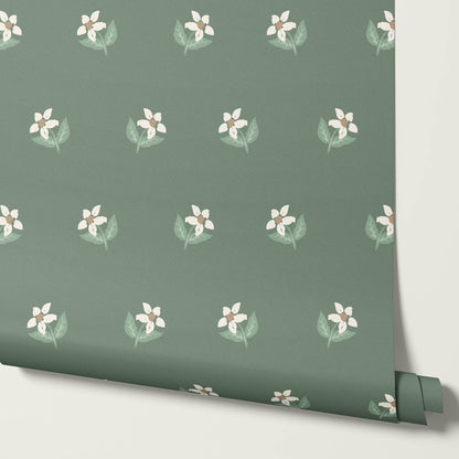 Rima Simple Anemone Green Cream Wallpaper