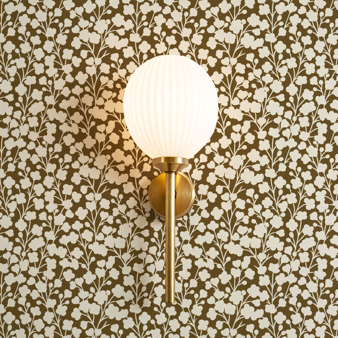 Riva Gypsophila Flowers Olive Wallpaper