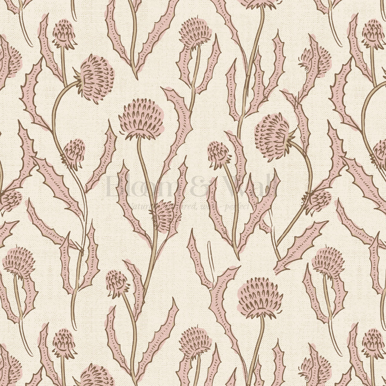 Zara Thistle Blooms Blush Wallpaper